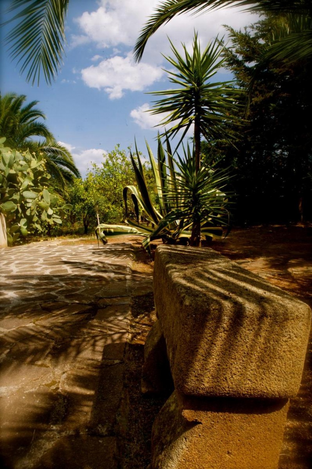 Villa Franca Image 18